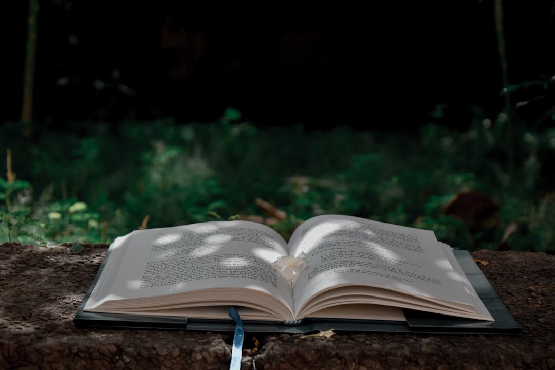 open mystery book